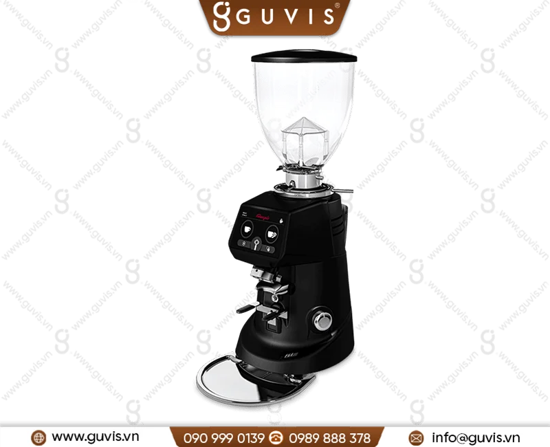 May xay ca phe Fiorenzato F64 EVO New 2022 1