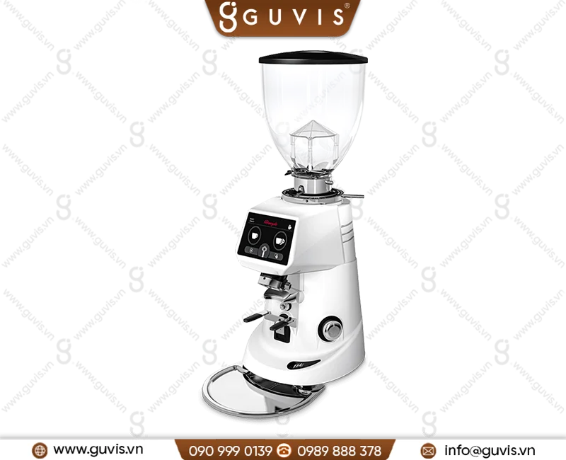 May xay ca phe Fiorenzato F64E New 2022 6