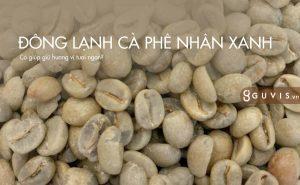 Có nên xay cà phê từ hạt cà phê đông lạnh? 13 xay cà phê từ hạt cà phê đông lạnh