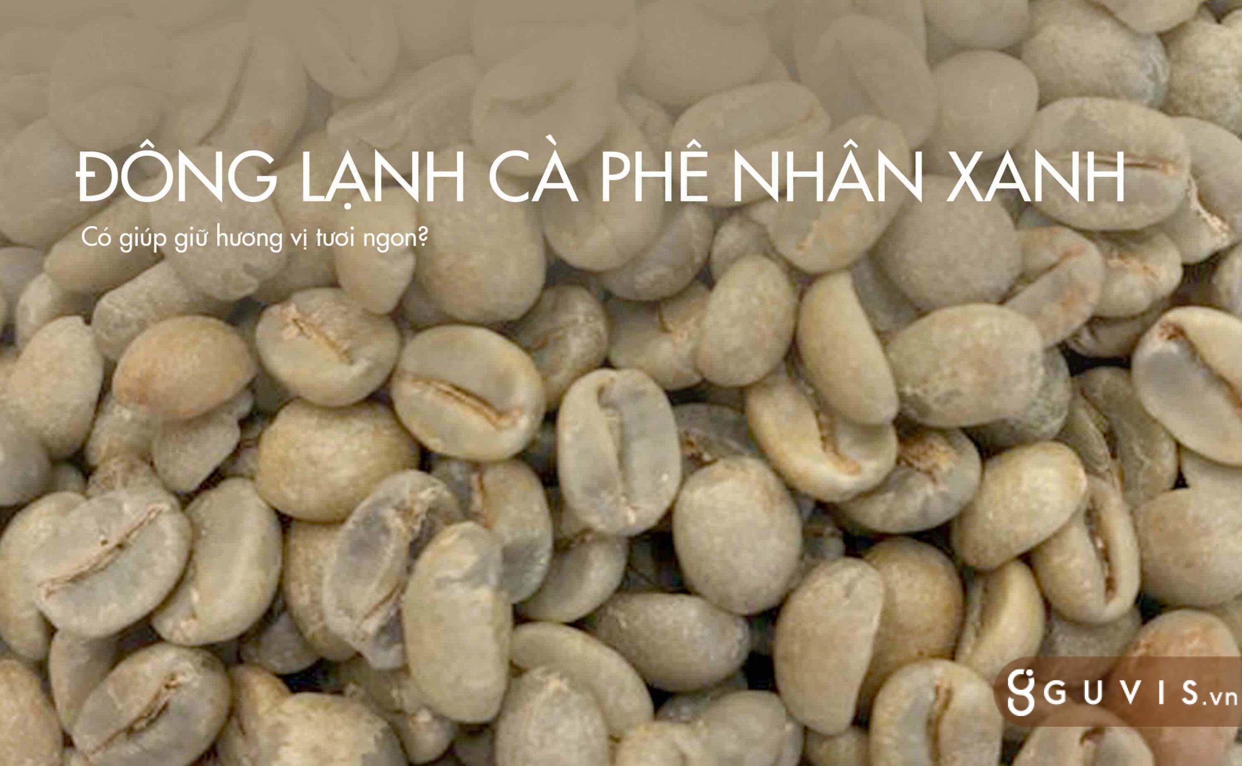 xay cà phê từ hạt cà phê đông lạnh