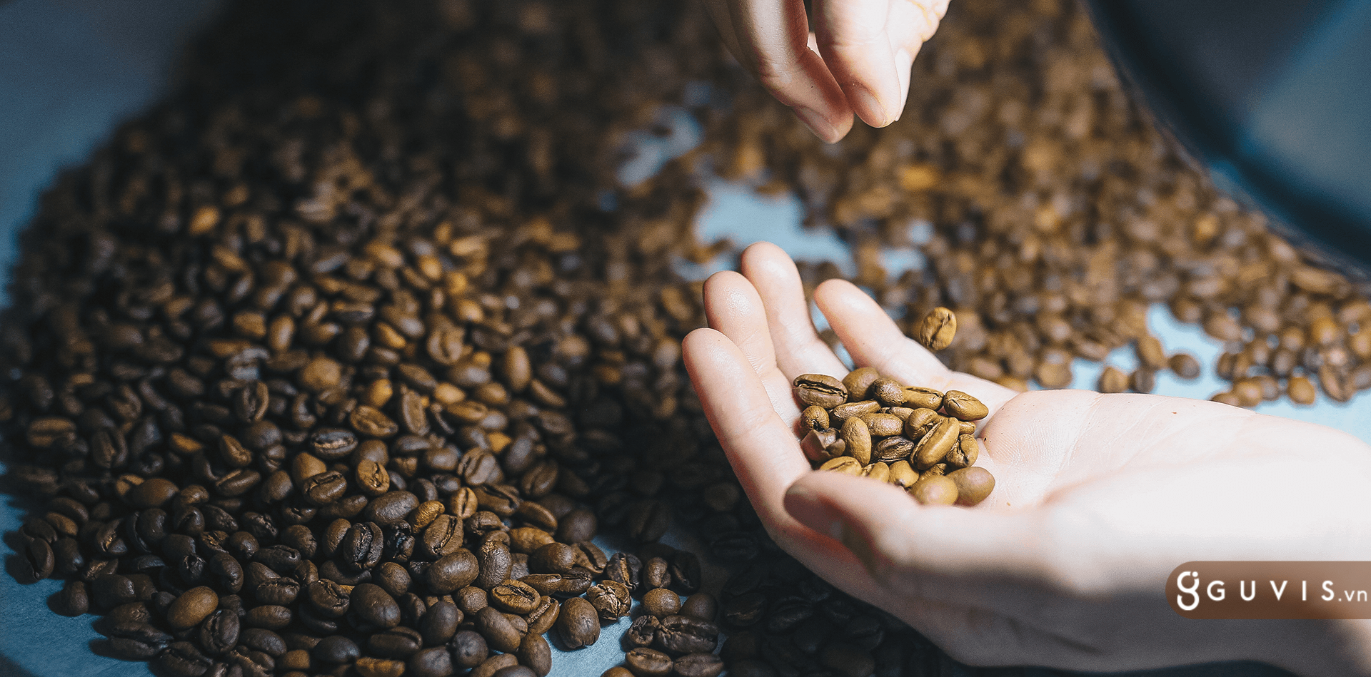 Specialty Coffee - Tiềm năng phát triển của cà phê Việt 1 Specialty Coffee