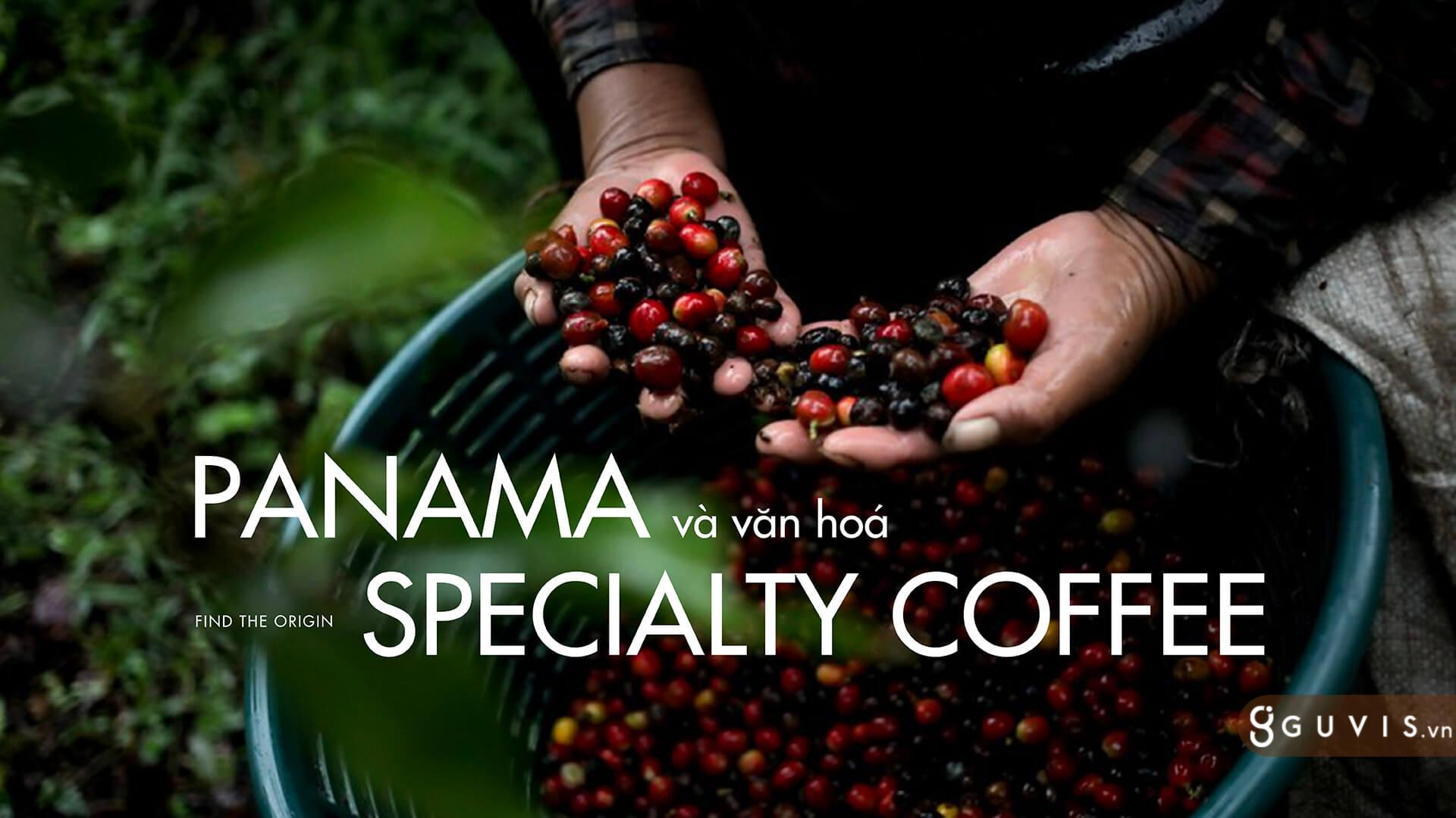Gesha Panama - Mảnh Đất Sinh Ra Những Hạt Cà Phê Đỉnh Cao  10 Panama